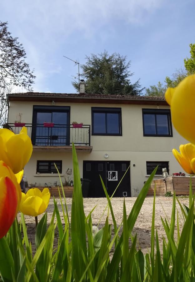 Chez Flo Et Marc Apartment Chouzy-sur-Cisse Luaran gambar