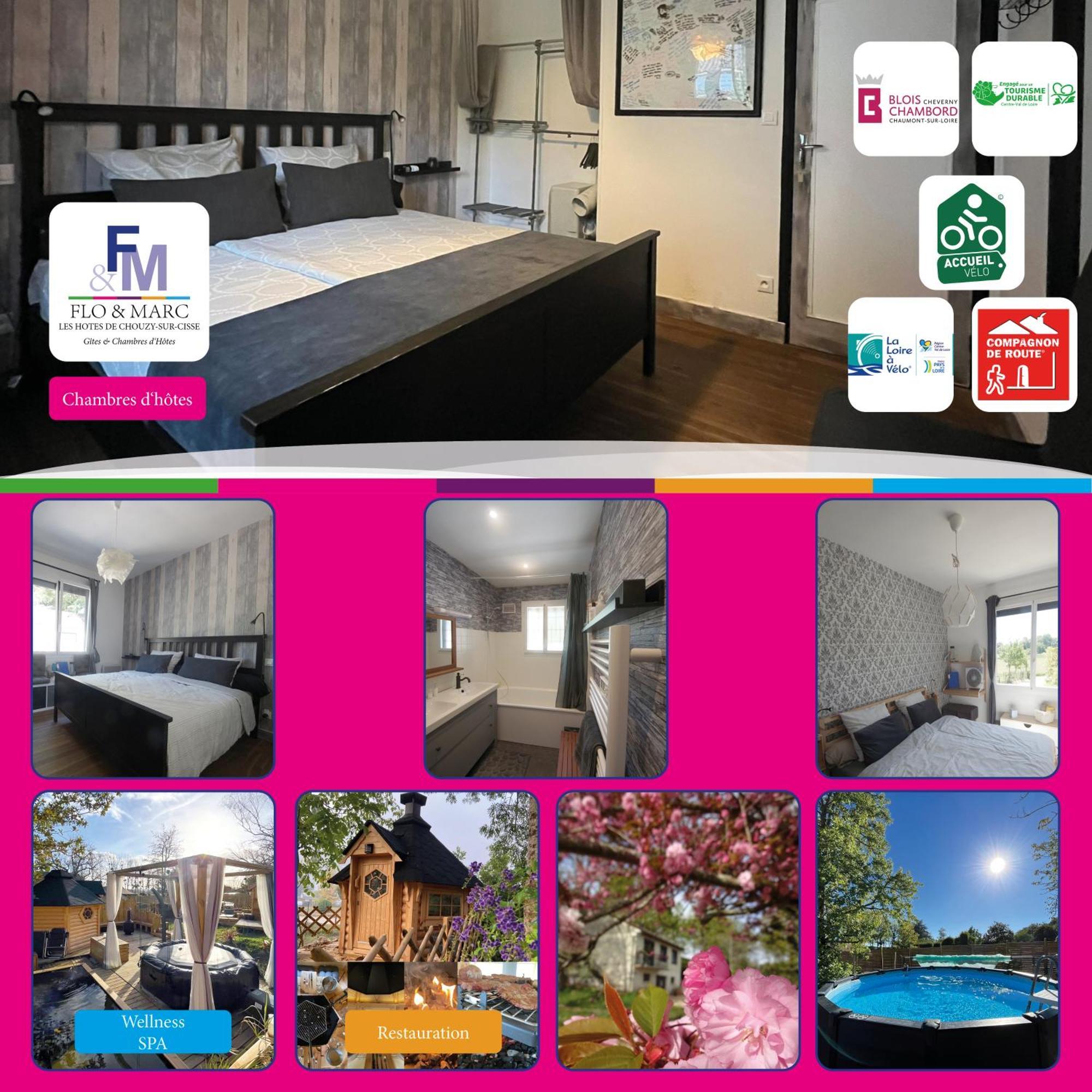 Chez Flo Et Marc Apartment Chouzy-sur-Cisse Luaran gambar