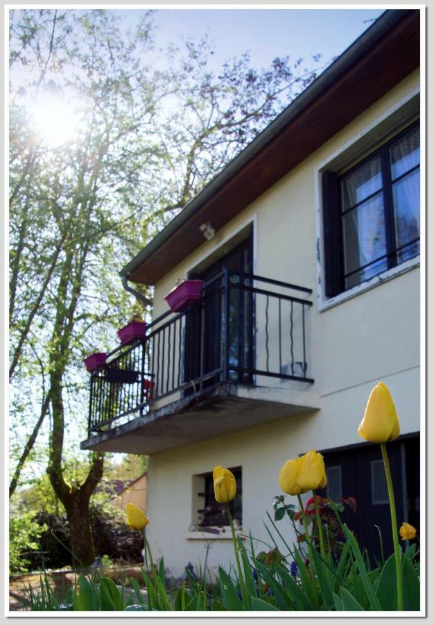 Chez Flo Et Marc Apartment Chouzy-sur-Cisse Luaran gambar